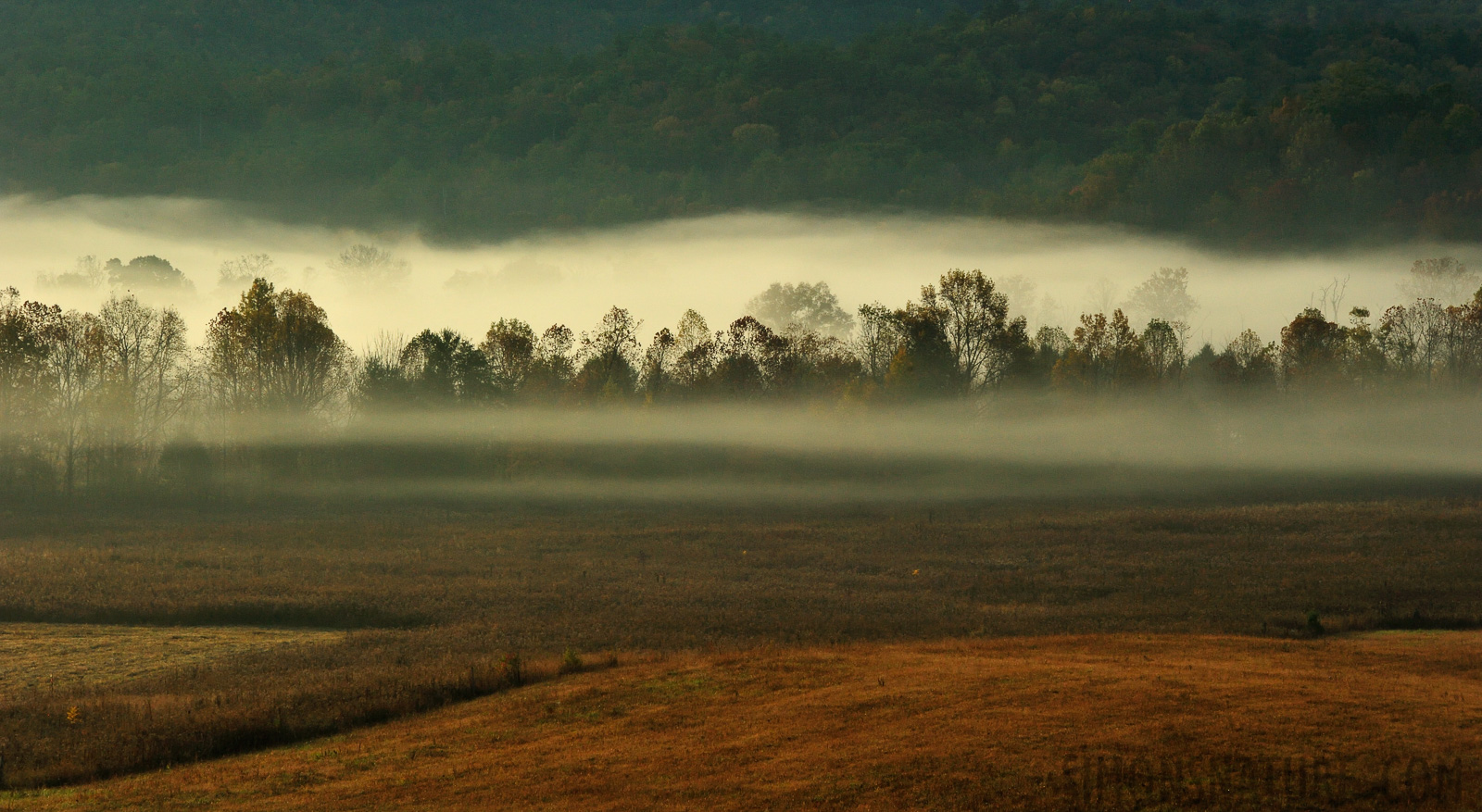 [160 mm, 1/250 sec at f / 14, ISO 1600]